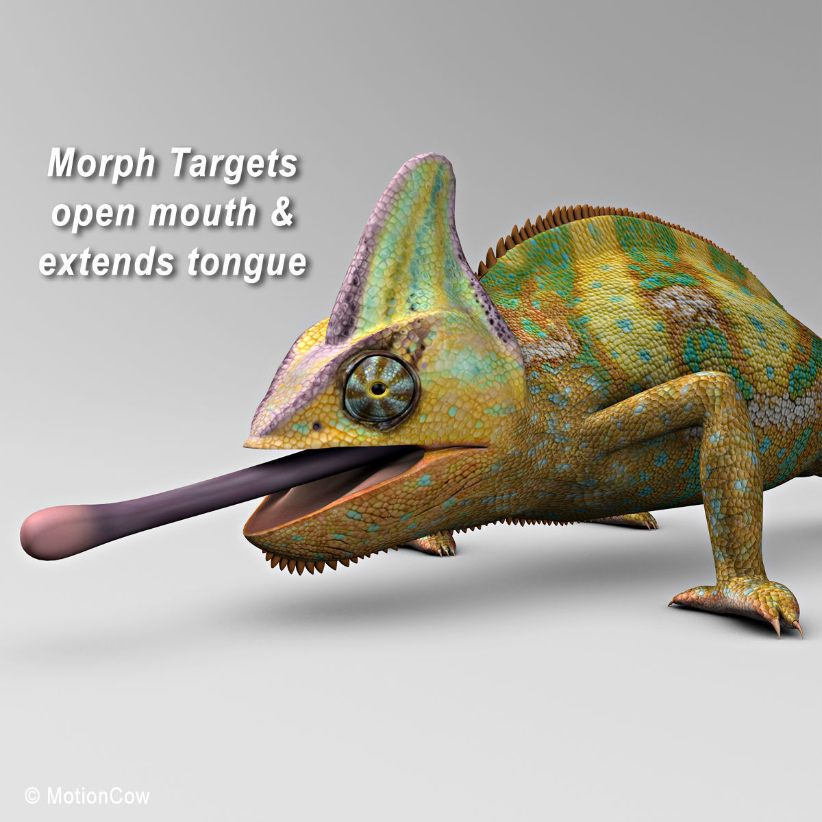 Chameleon - Color 3D model_4