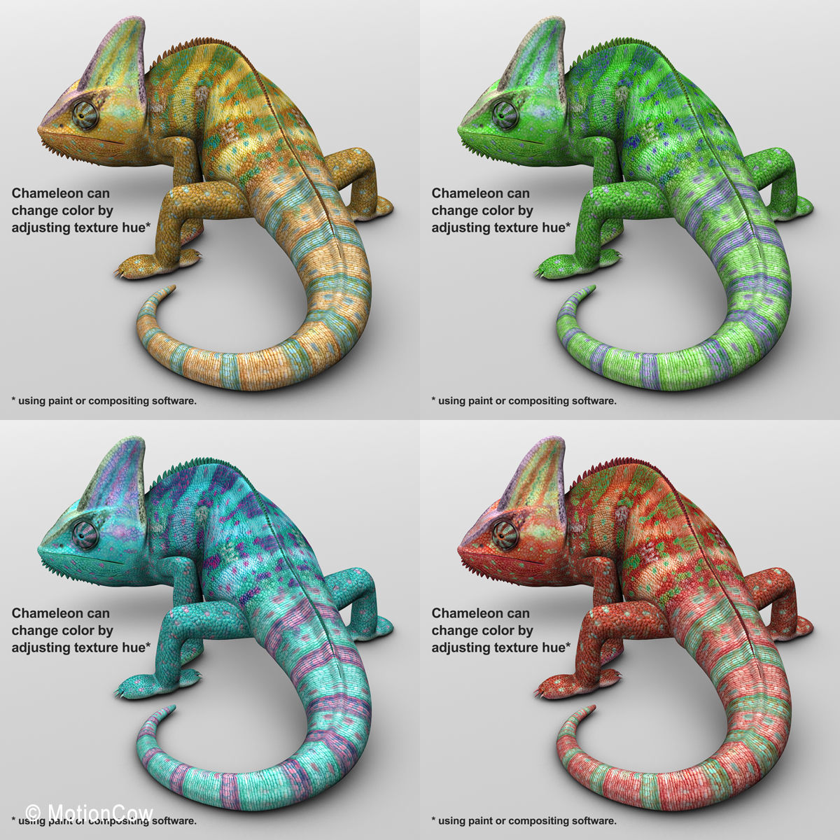 Chameleon - Color 3D model_13