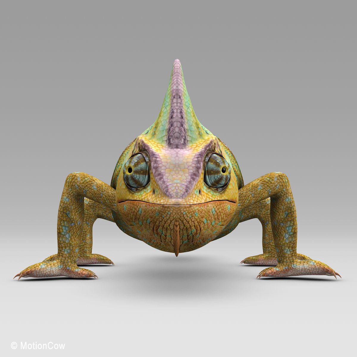 Chameleon - Color 3D model_9