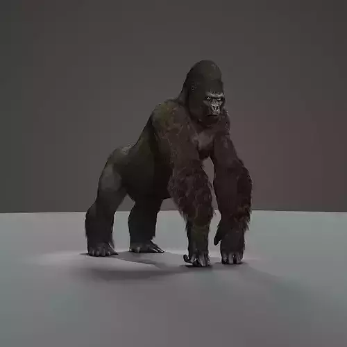 Gorilla animation 3D model