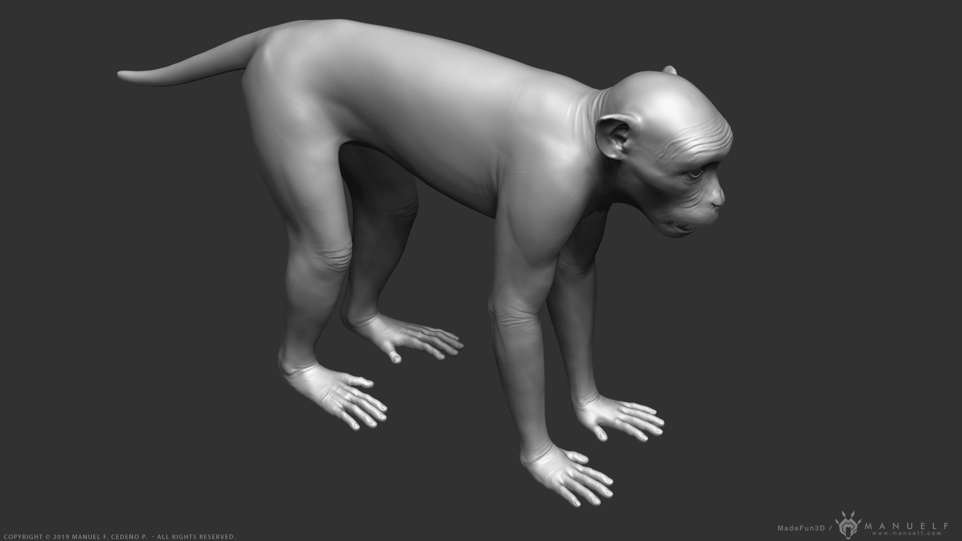 Monkey Rigged Low-poly 3D model_3