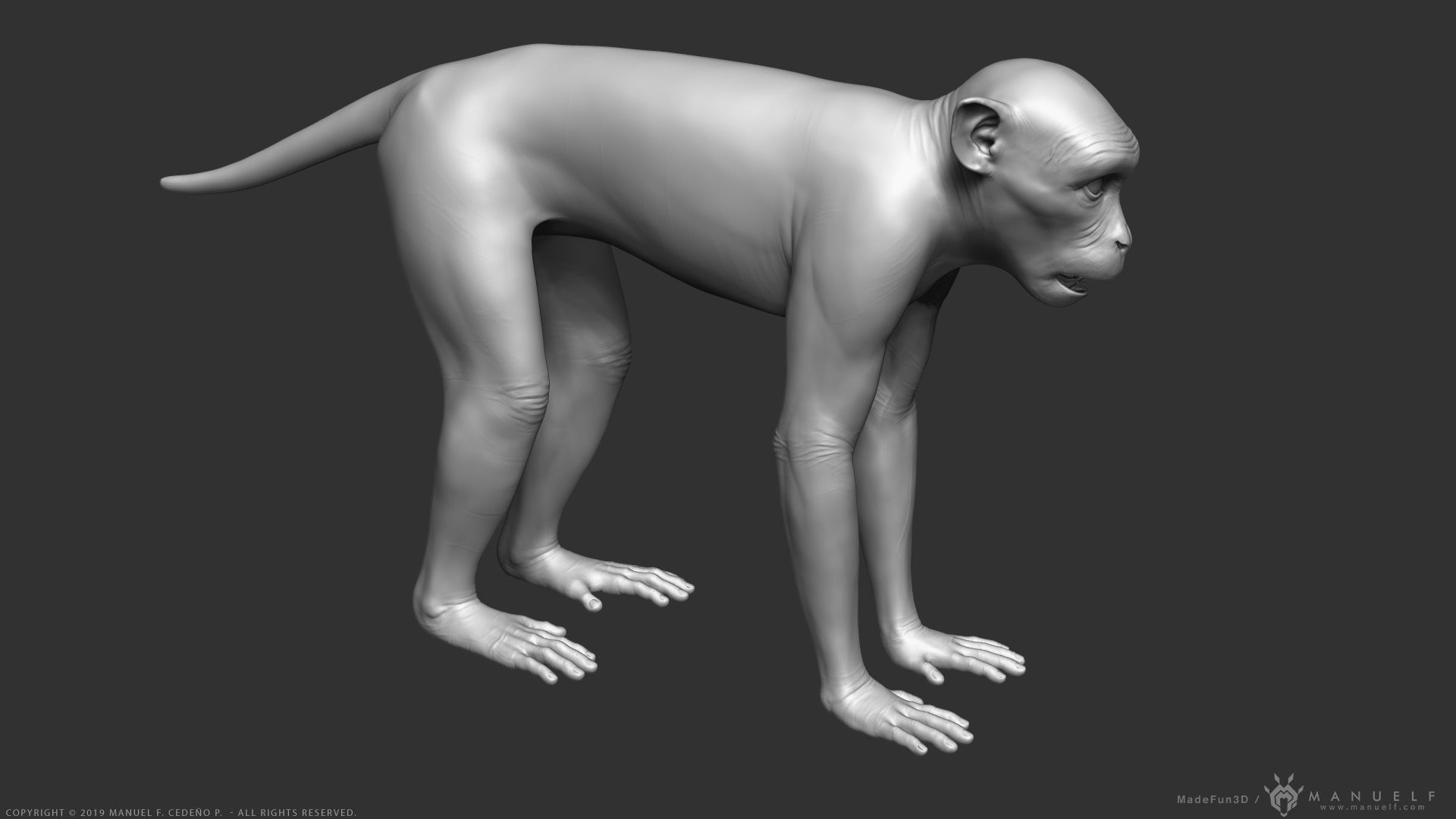 Monkey Rigged Low-poly 3D model_2