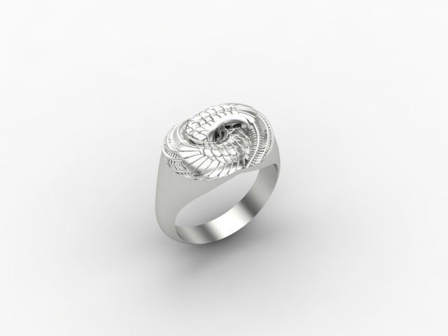 Attractive ring 3D print model_5