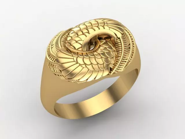 Attractive ring 3D print model_0