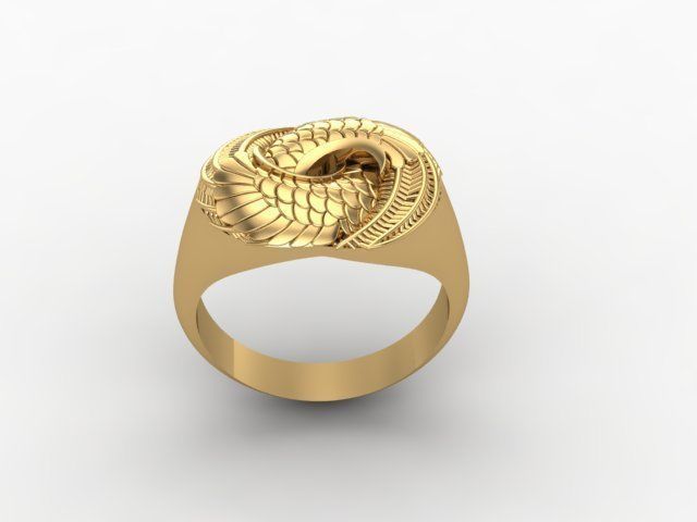 Attractive ring 3D print model_3