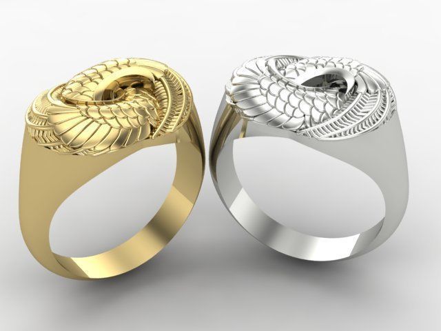 Attractive ring 3D print model_1