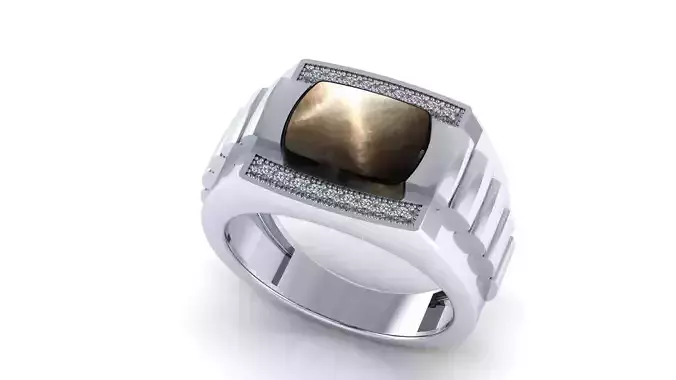 Jewelry mens ring