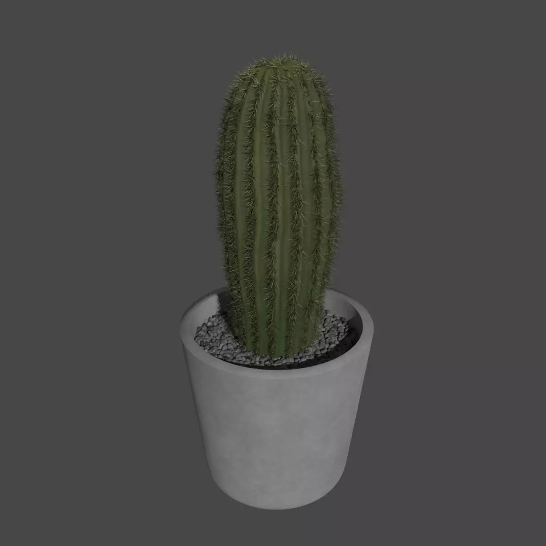 potted cactus Free low-poly 3D model_0