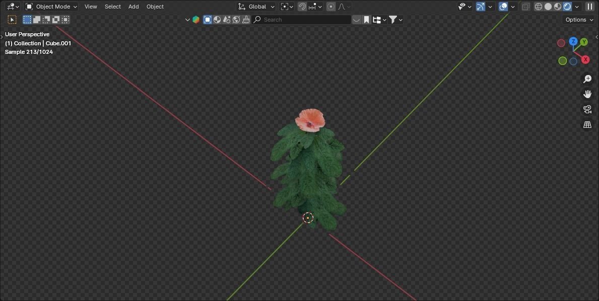 grapefruit flower Low-poly 3D model_4