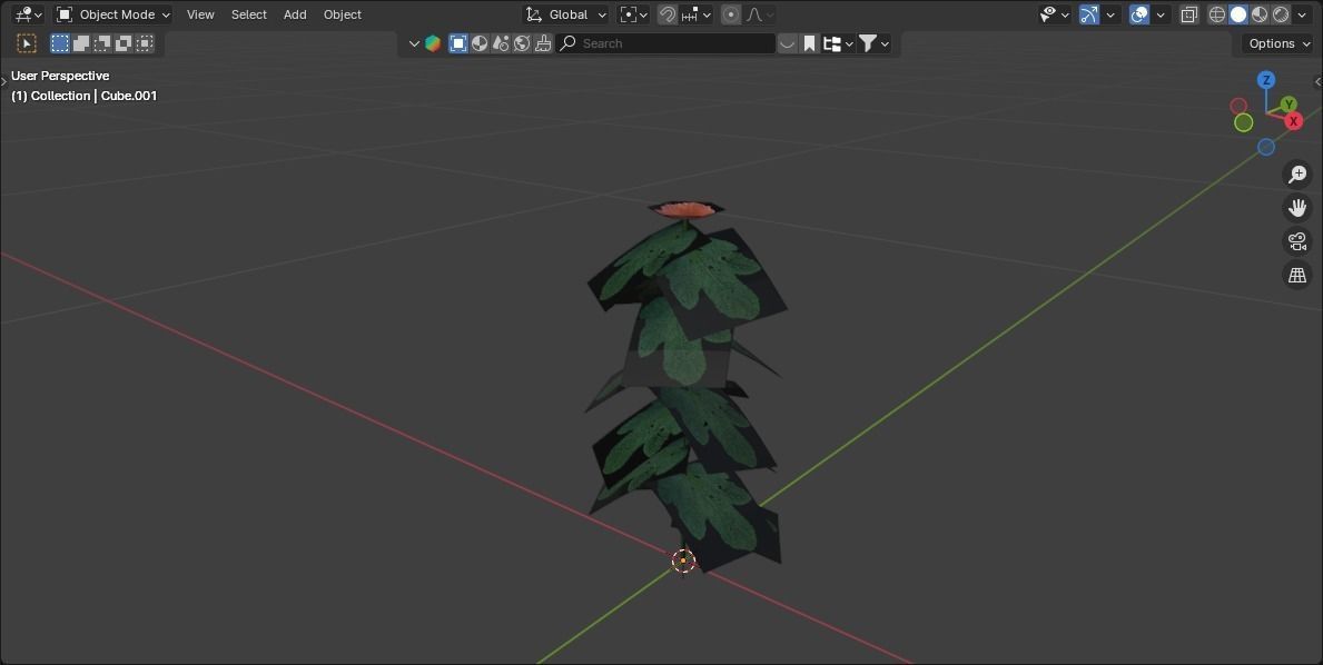 grapefruit flower Low-poly 3D model_3