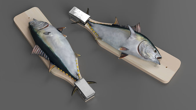 Fish Cleaning Board with Tuna 3D model 3