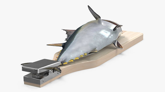 Fish Cleaning Board with Tuna 3D model 6