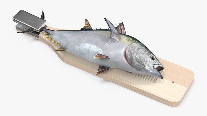 Fish Cleaning Board with Tuna 3D model 5
