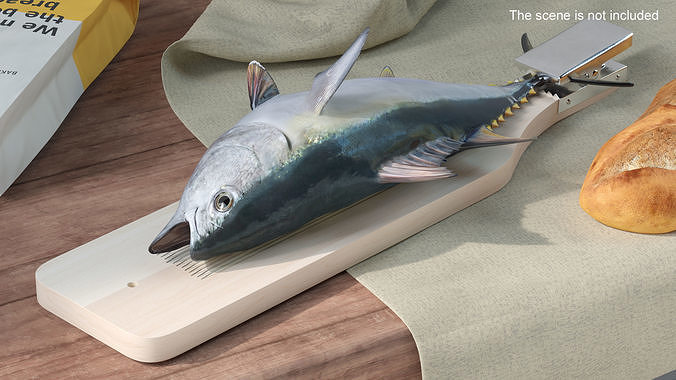 Fish Cleaning Board with Tuna 3D model 2