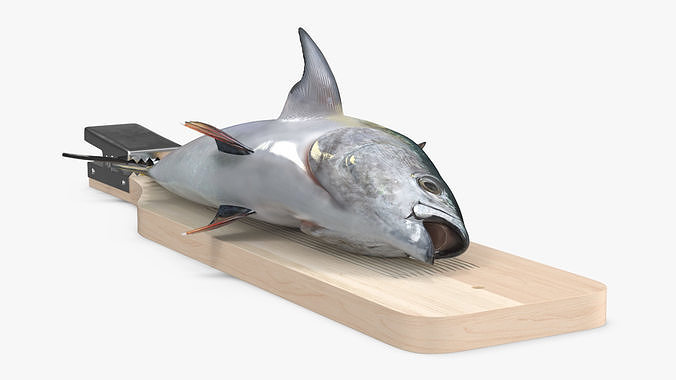 Fish Cleaning Board with Tuna 3D model 7