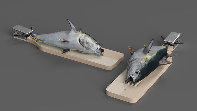 Fish Cleaning Board with Tuna 3D model 4