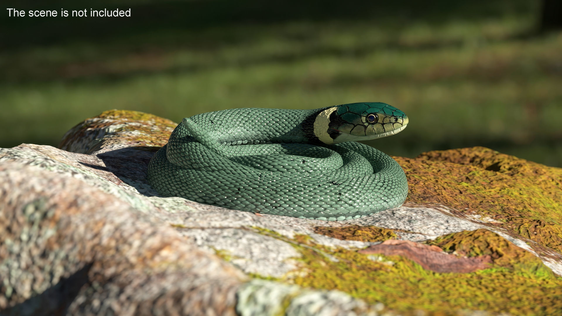 Grass Snake Green Rigged 3D model