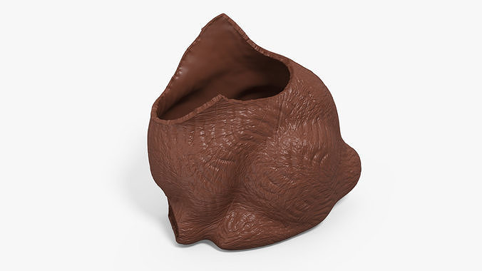 Chocolate Easter Bunny Without a Head 3D model 6