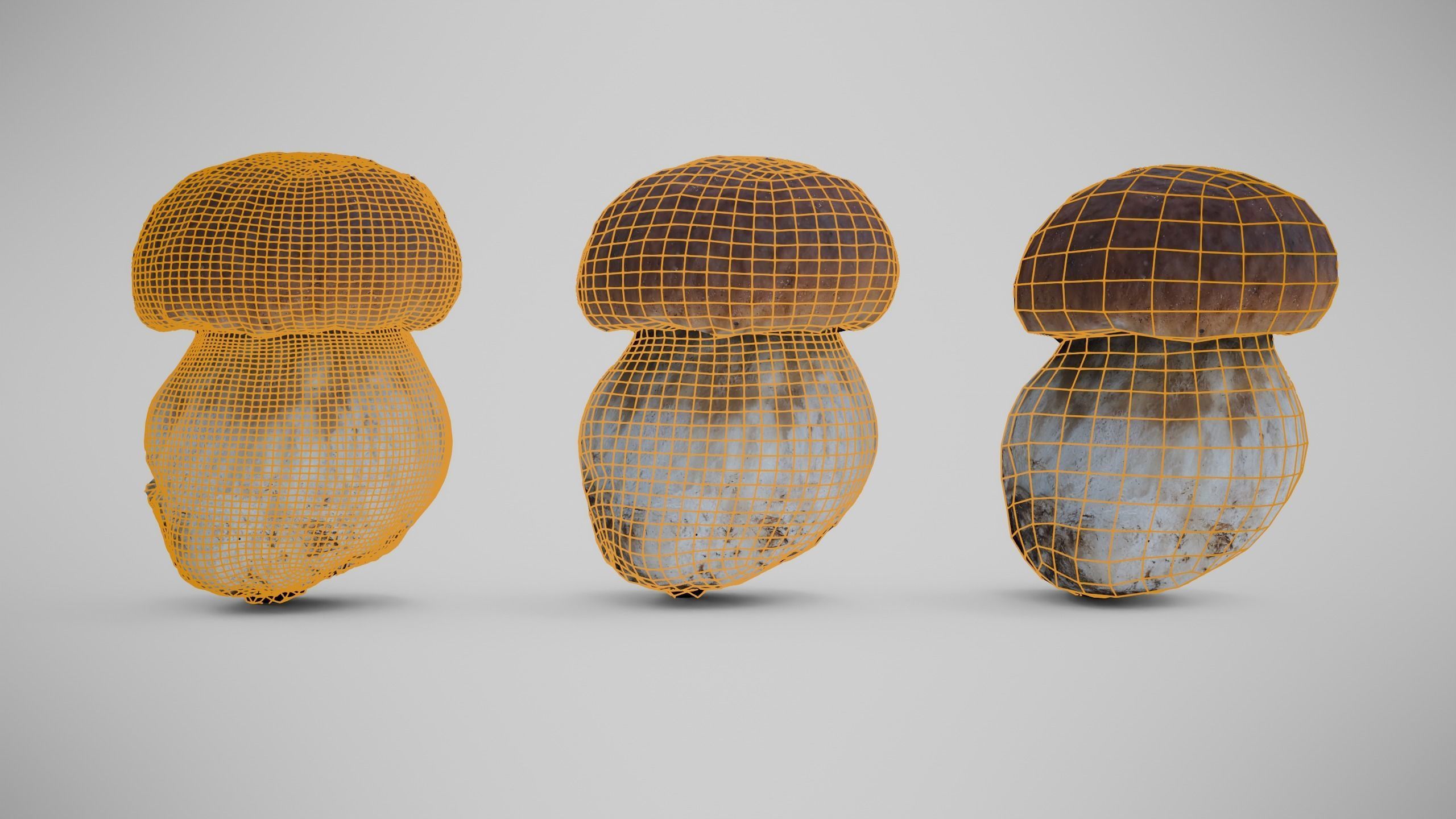 Cep Mushroom - Brown Mushroom Low-poly 3D model_6