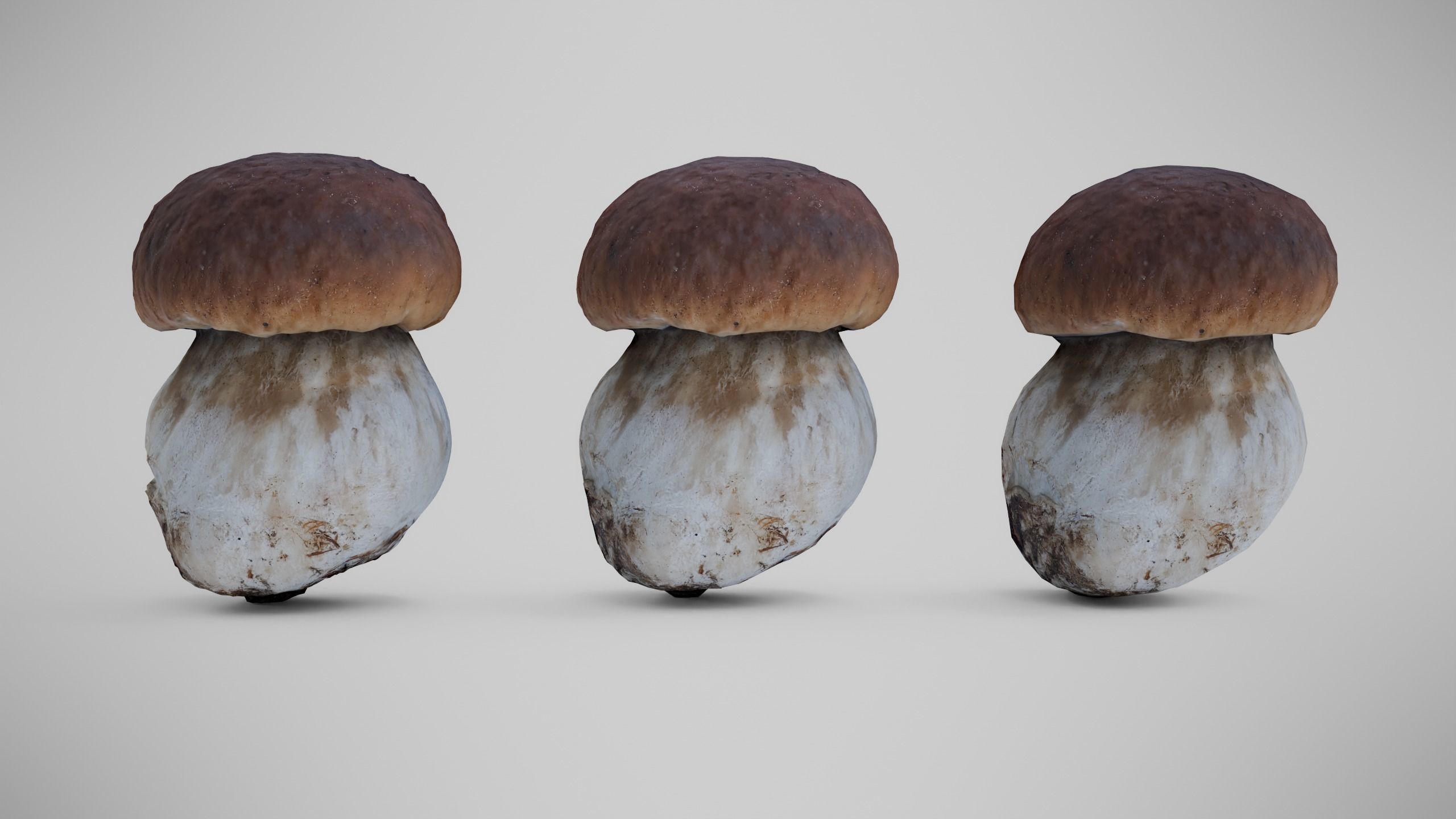 Cep Mushroom - Brown Mushroom Low-poly 3D model_5