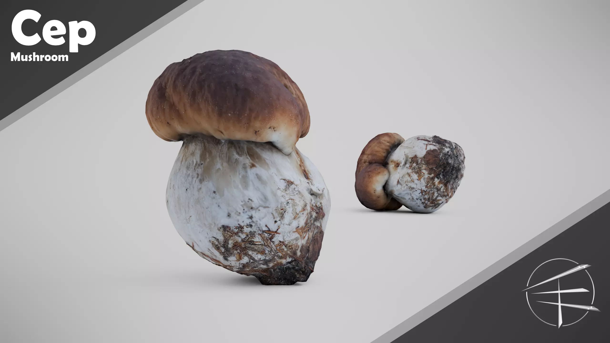 Cep Mushroom - Brown Mushroom Low-poly 3D model_0
