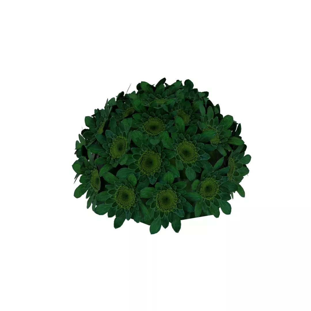 flower bed Low-poly 3D model_0