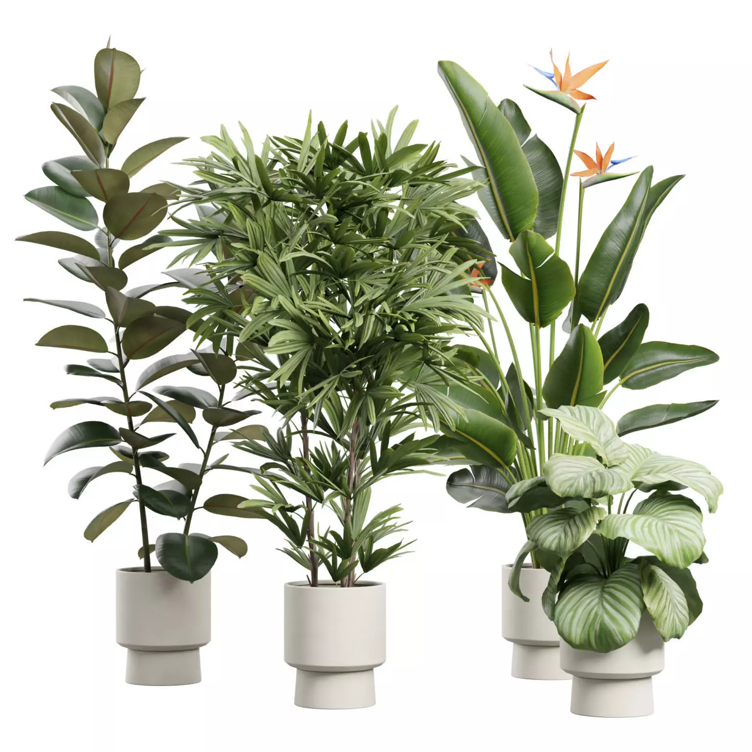 Indoor Plants Pack 72 3D model