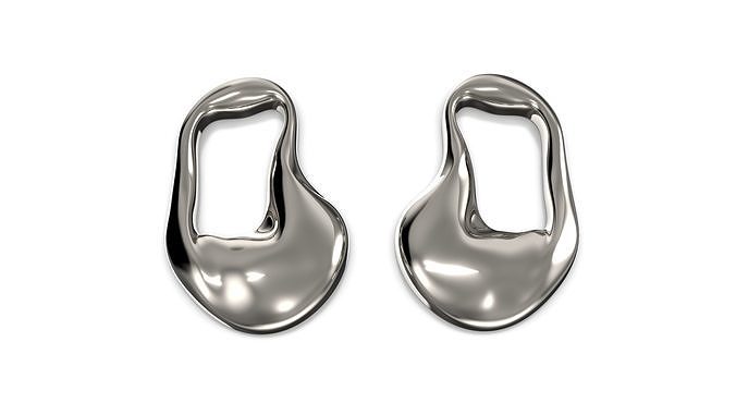 Pair of Organic Earrings 3D print model