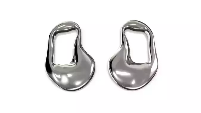 Pair of Organic Earrings