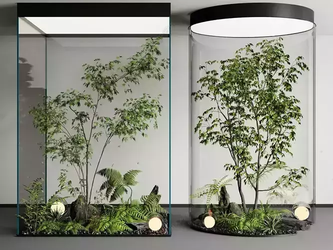 Landscape plant display windows