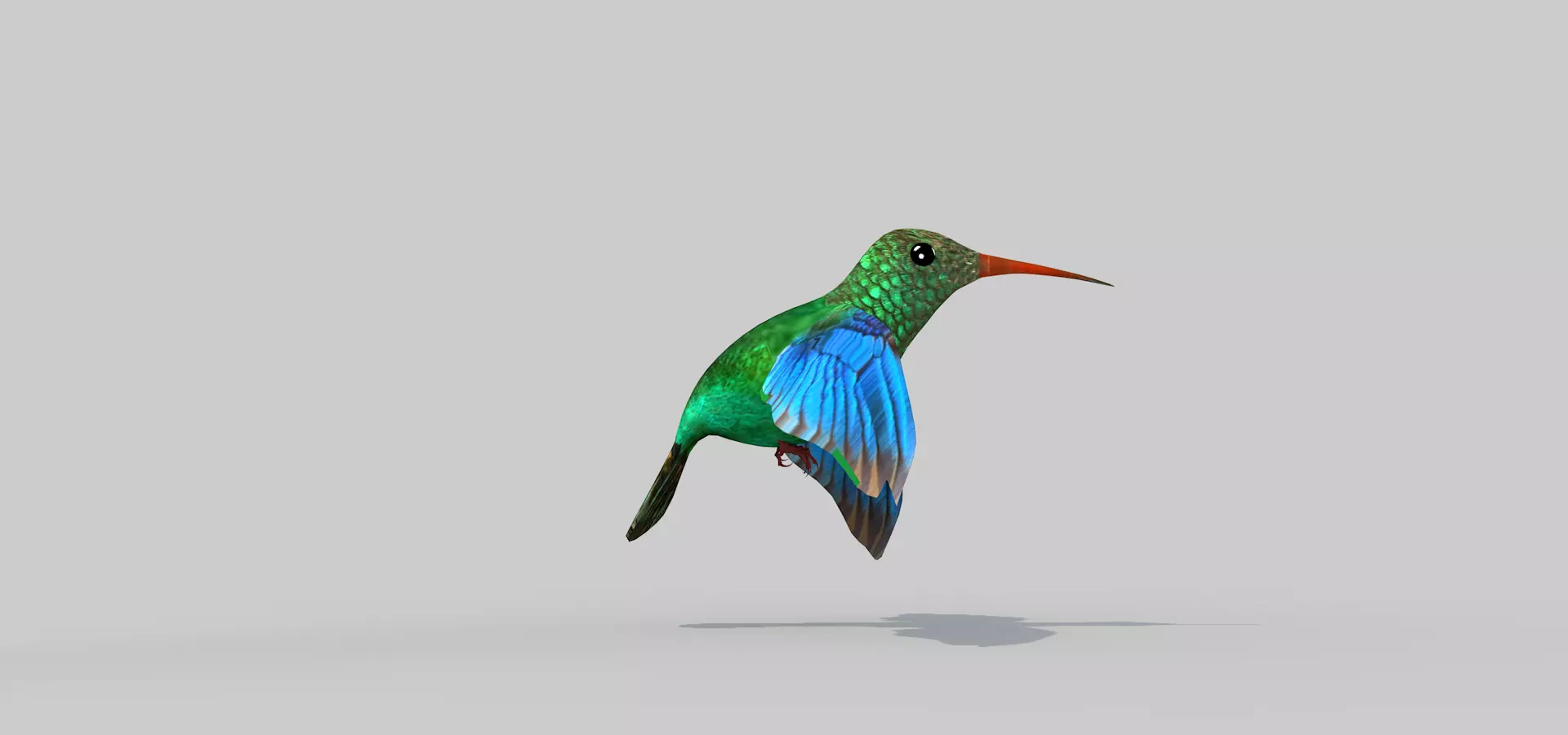 Humming Bird Two 3D model_0