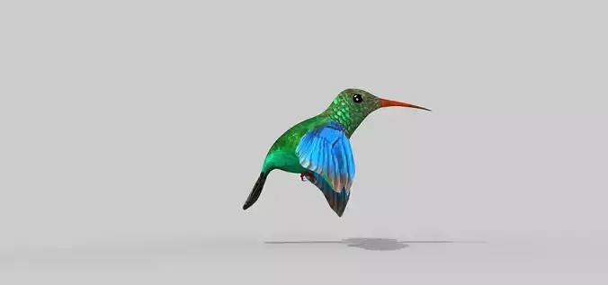 Humming Bird Two 3D model