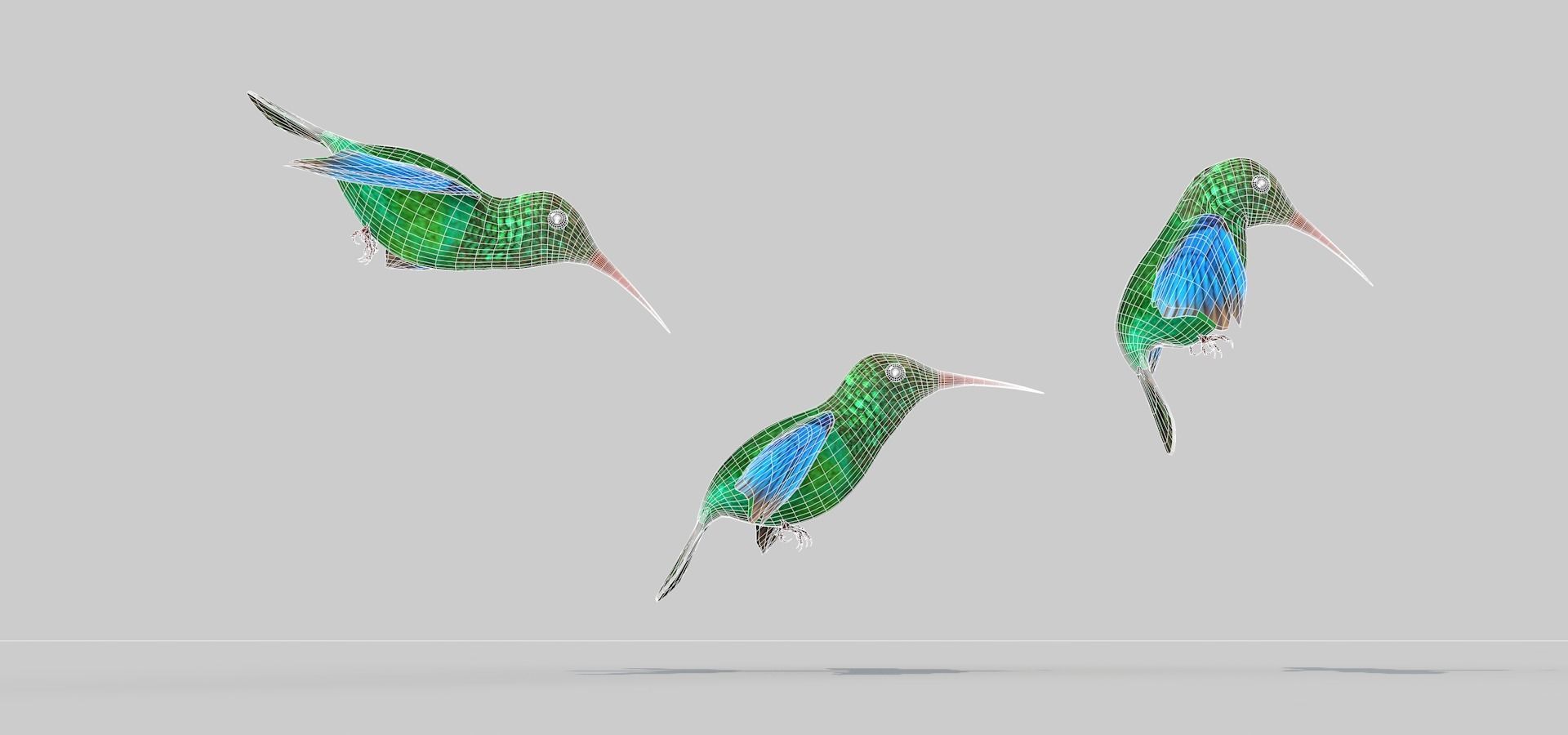 Humming Bird Two 3D model_8