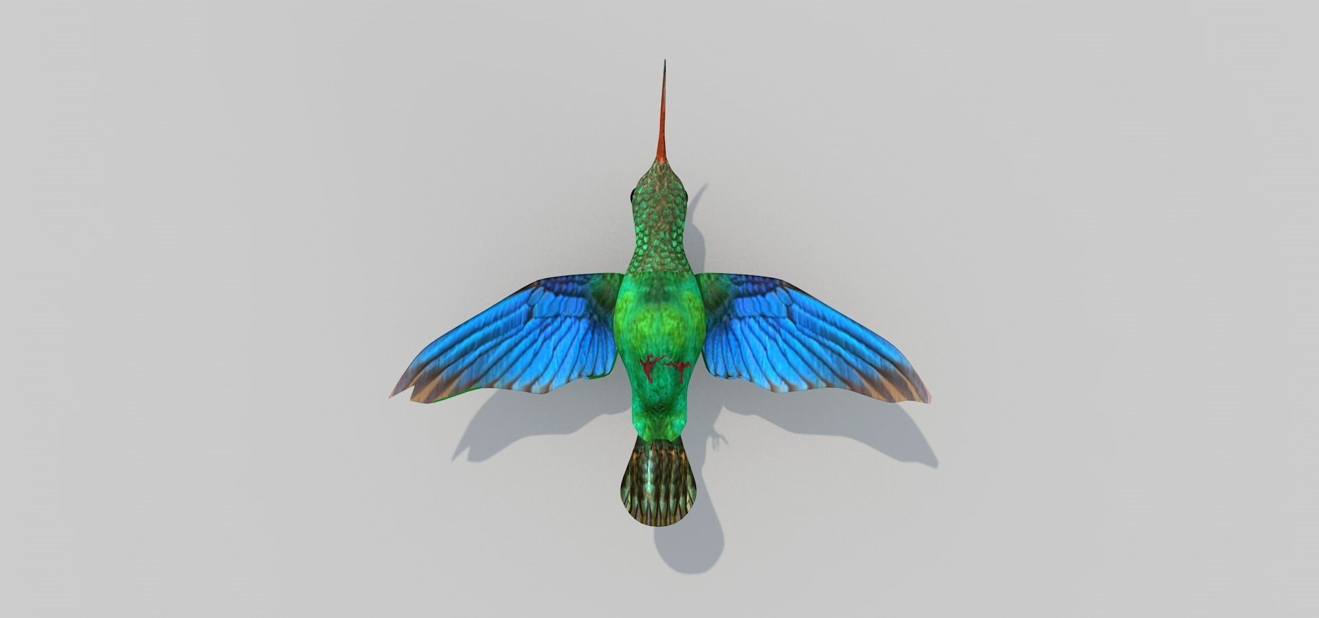 Humming Bird Two 3D model_7