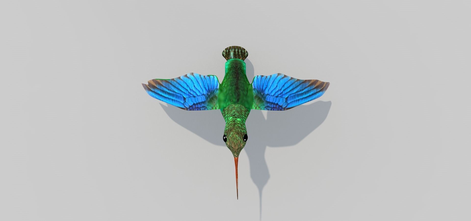 Humming Bird Two 3D model_6