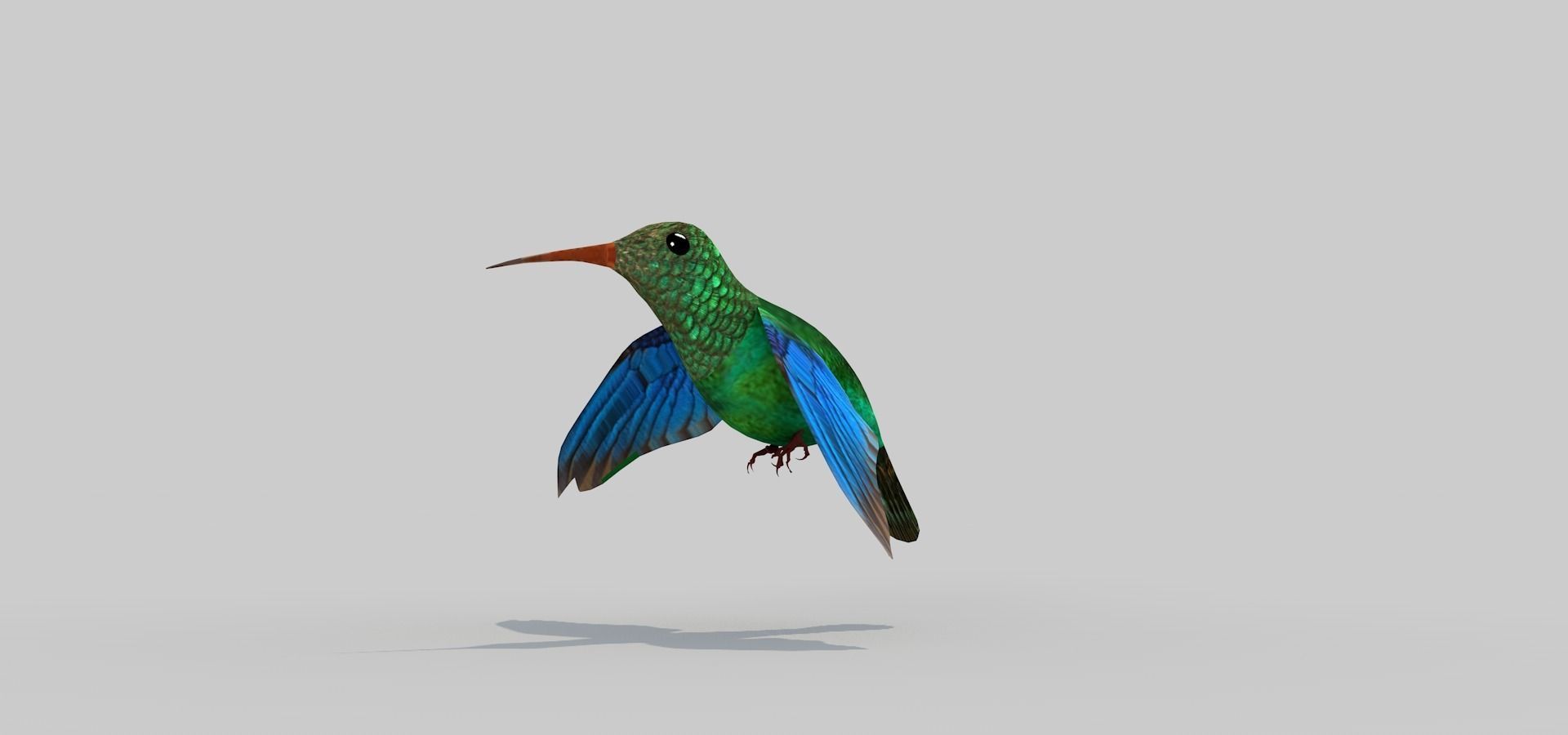 Humming Bird Two 3D model_3