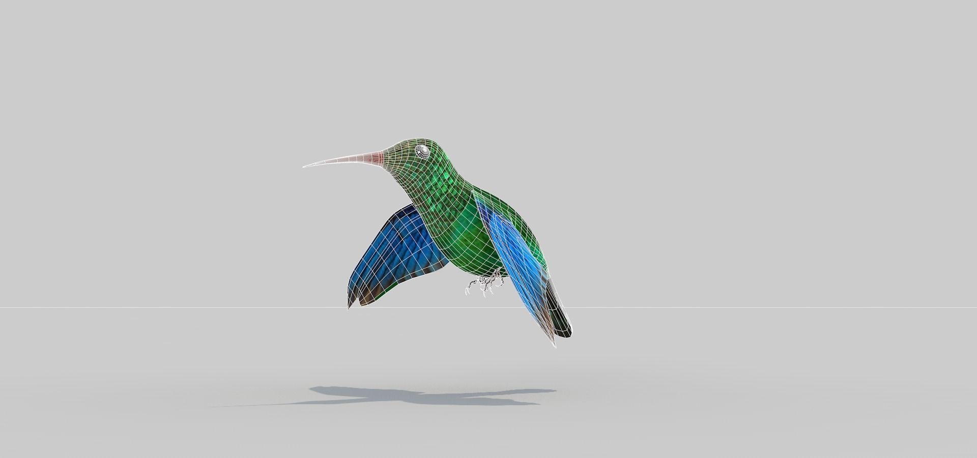 Humming Bird Two 3D model_4