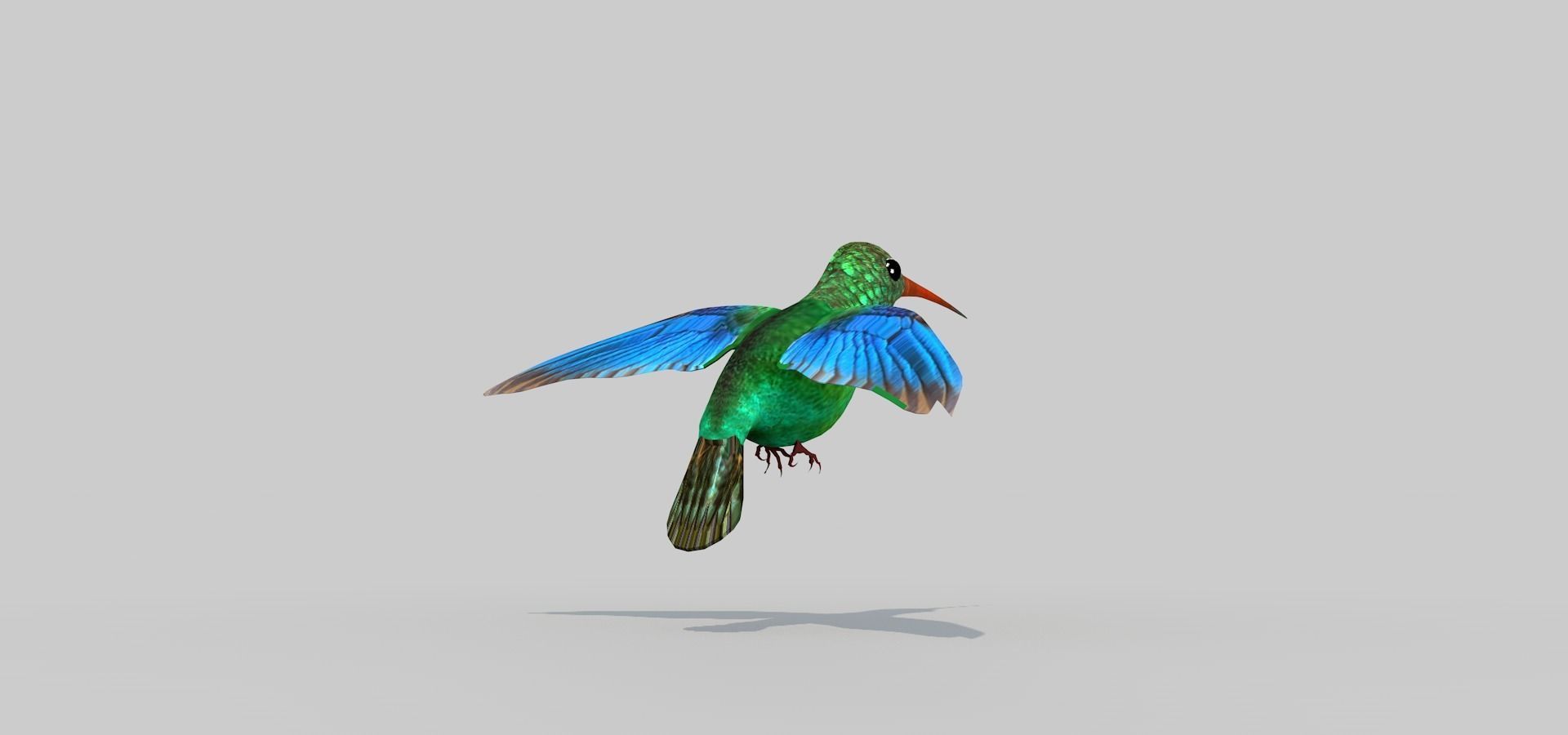 Humming Bird Two 3D model_5