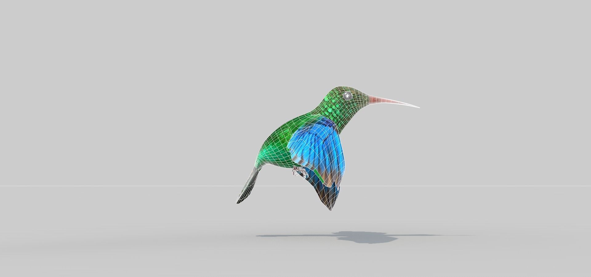 Humming Bird Two 3D model_2