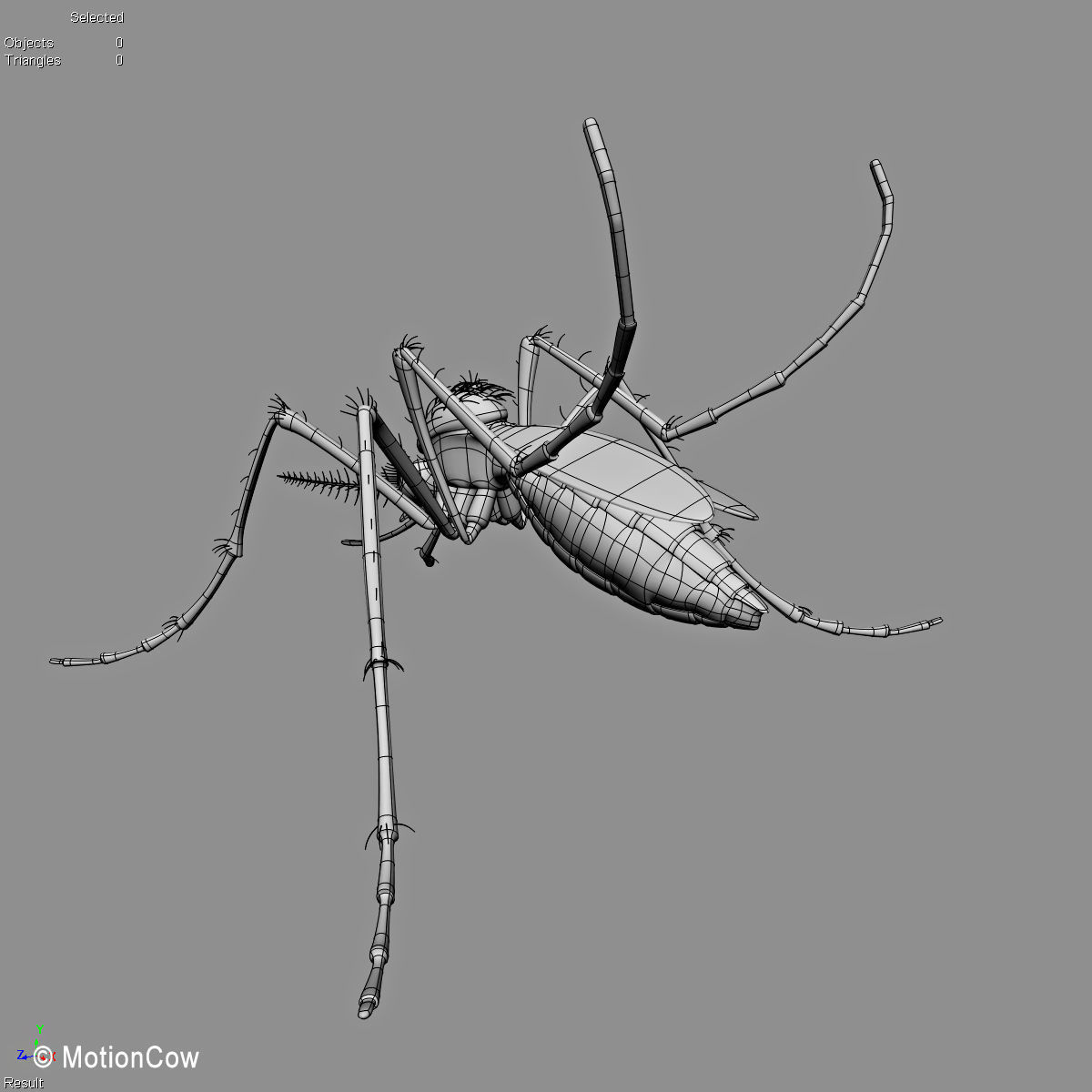 Mosquito 3D model_14