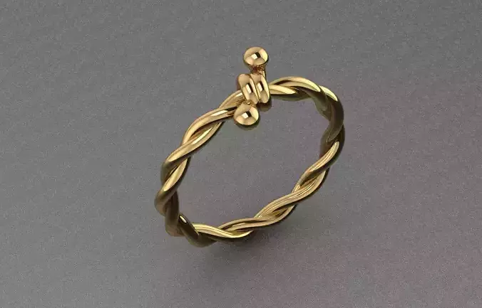 Coil ring 3D print model