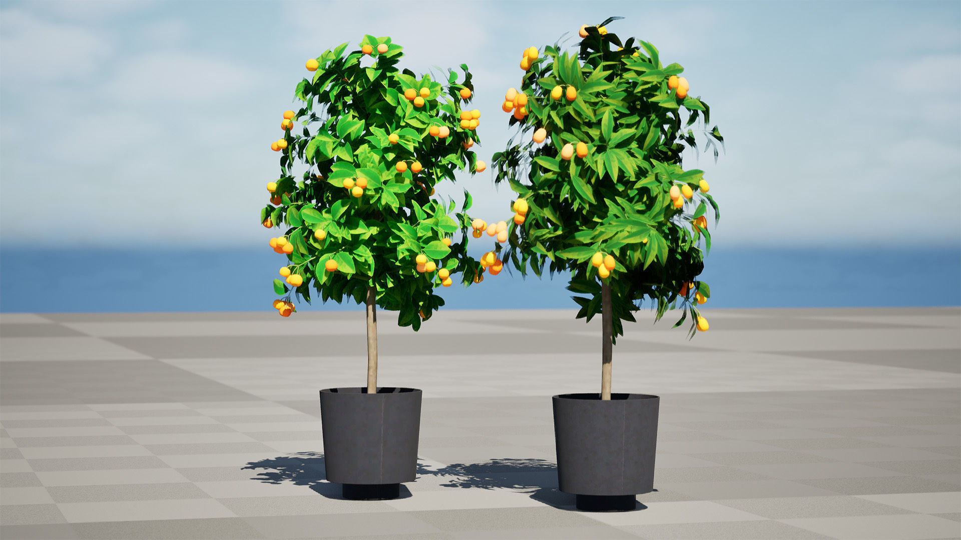 citrus trees collection Low-poly 3D model_5