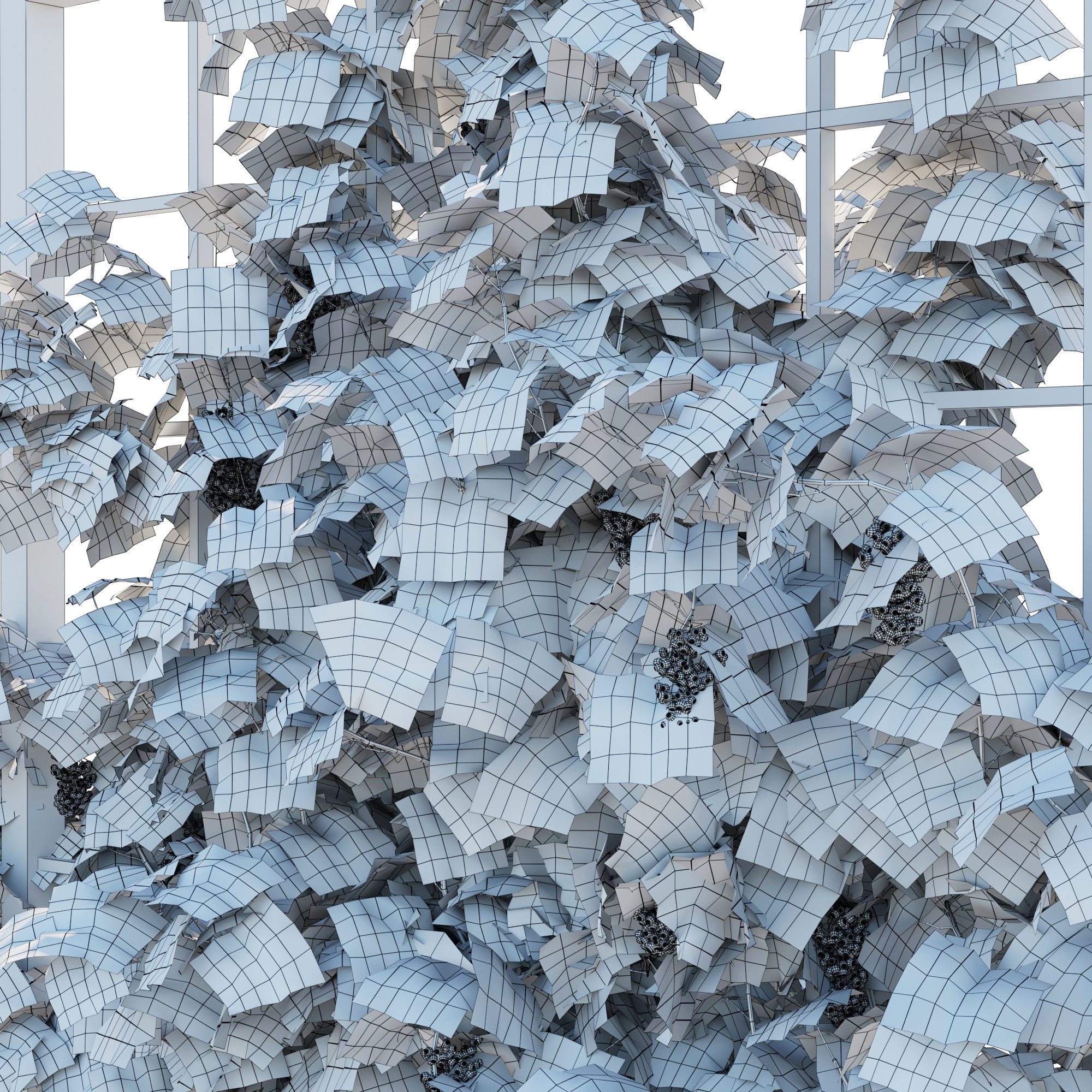 Vines Grapes 04 3D model_4