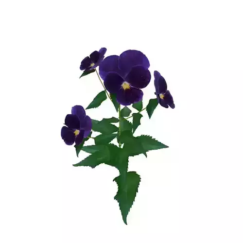 low poly purple flower