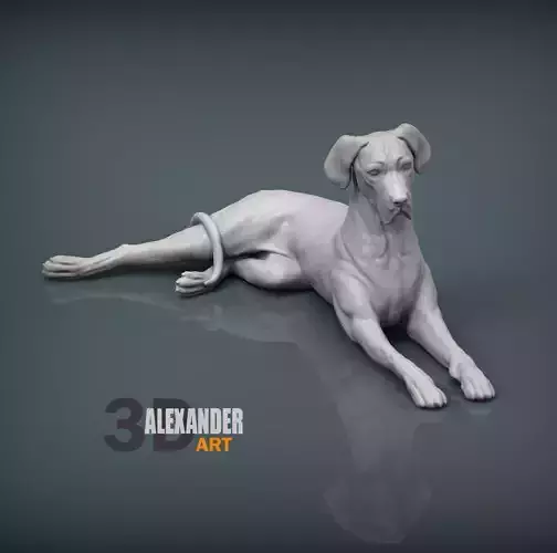 Great Dane lying down