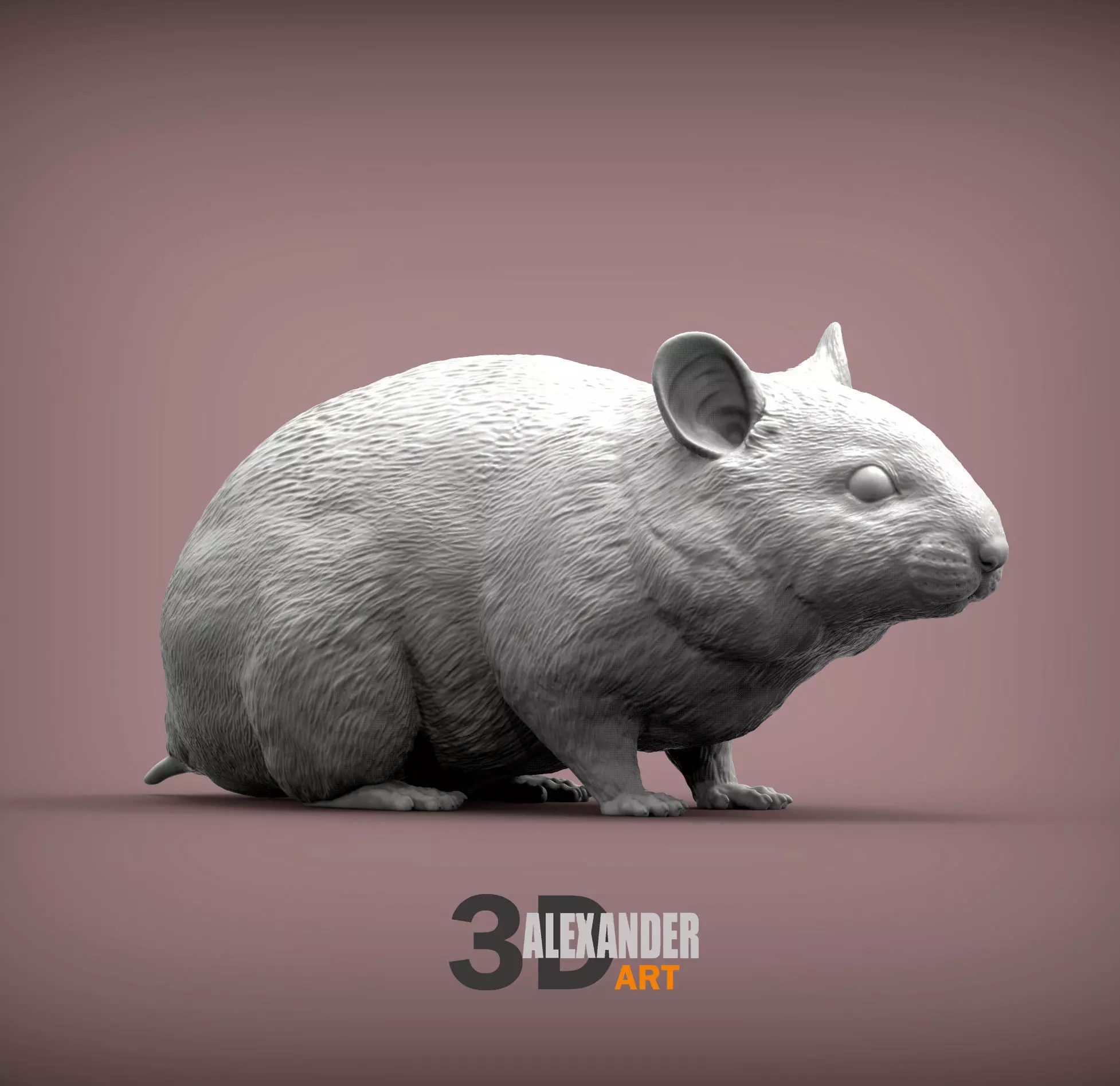 Hamster 3D print model_0