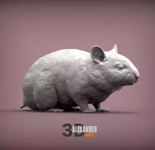 Hamster 3D print model Hamster 3D print model