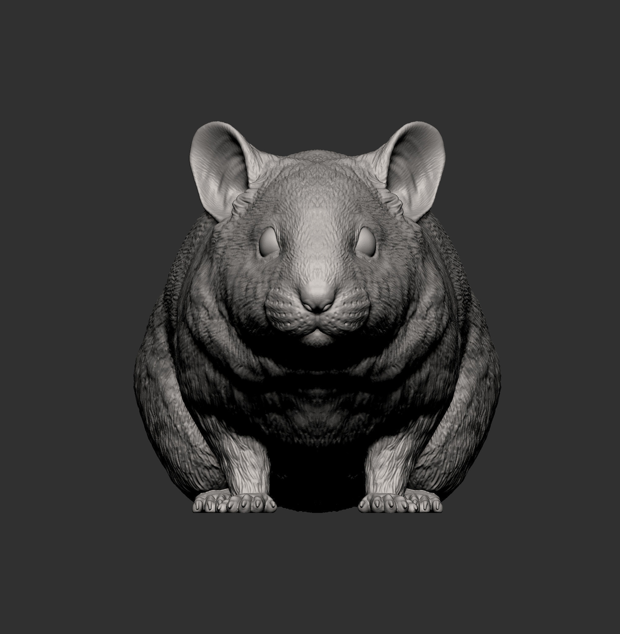 Hamster 3D print model_11