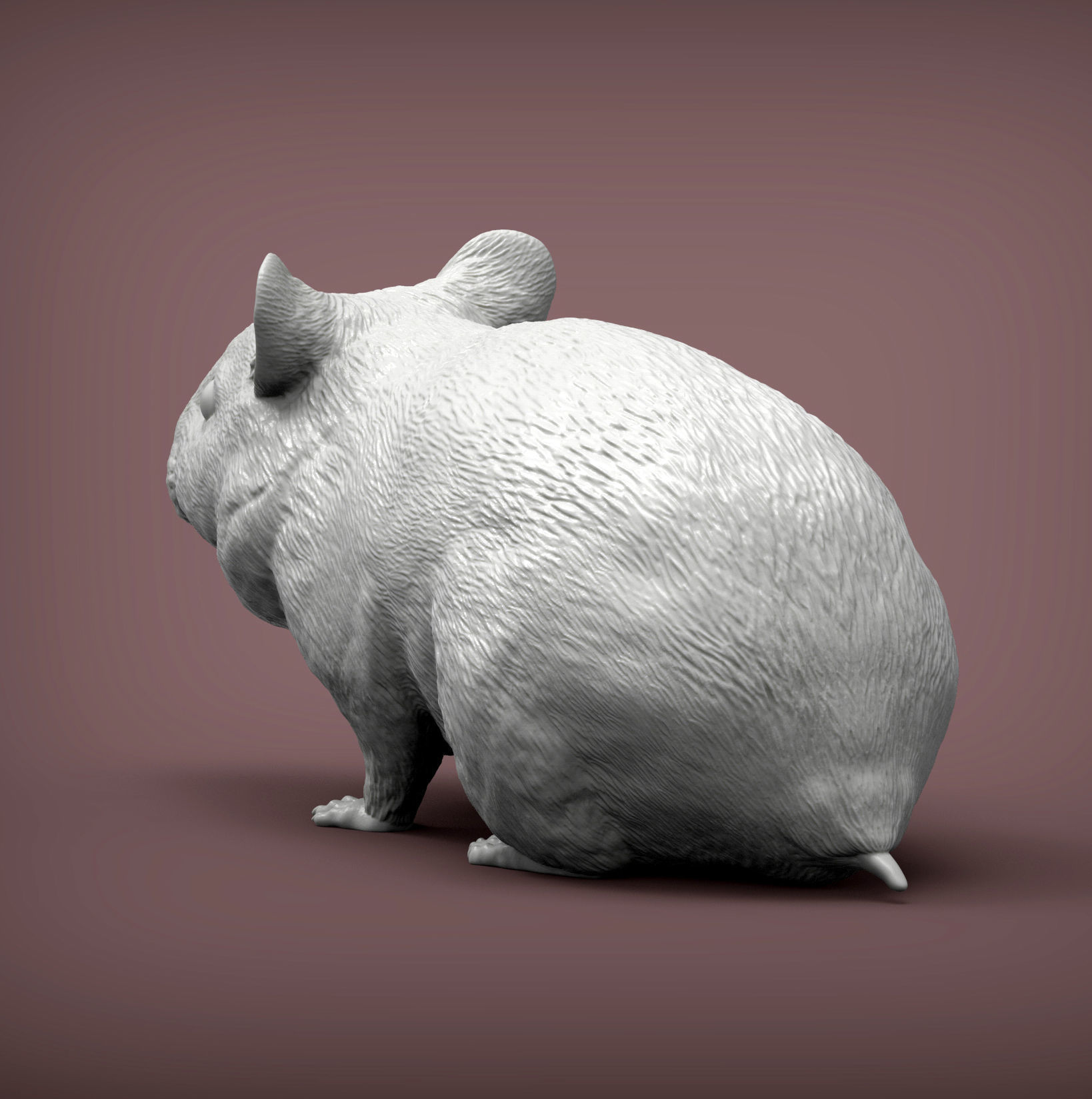 Hamster 3D print model_6