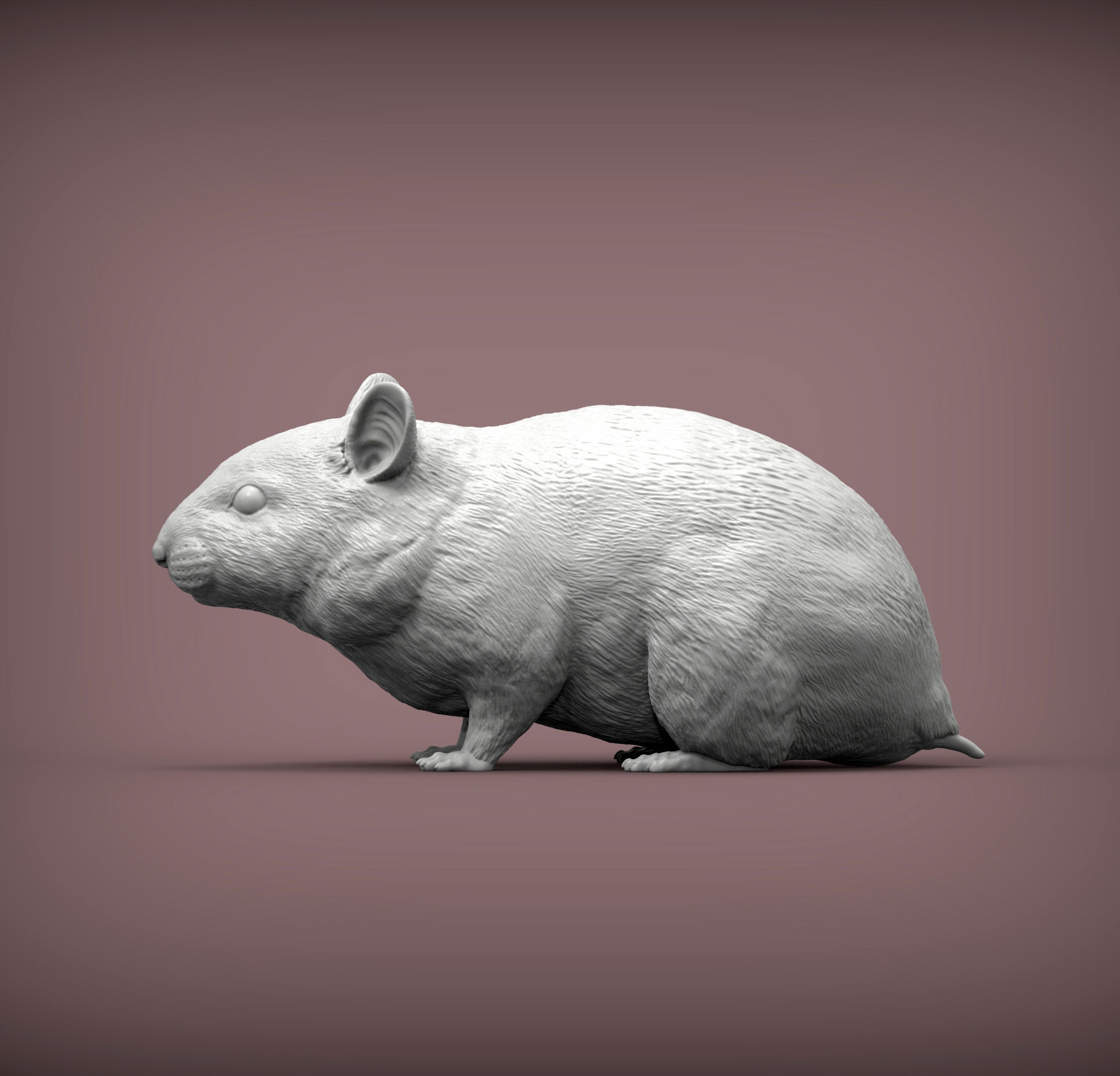 Hamster 3D print model_3